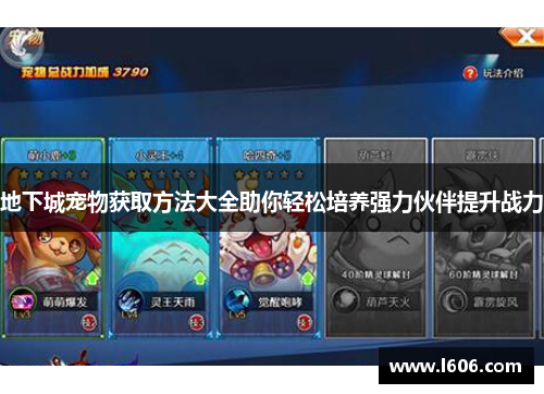 地下城宠物获取方法大全助你轻松培养强力伙伴提升战力